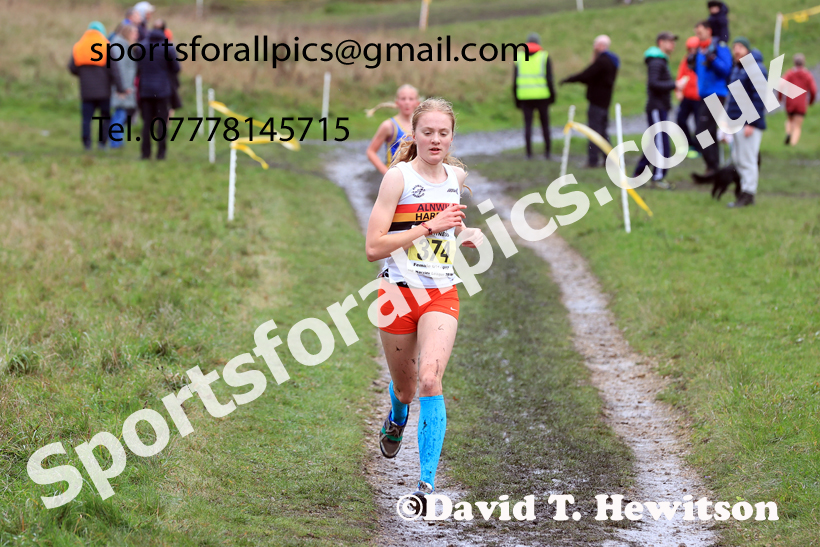 Girls Under-15s 2025 Start Fitness NEHL, Wrekenton, Gateshead, Sunday, November 23rd. Photo: David T. Hewitson/Sports for All Pics